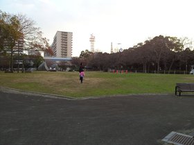 2017.01.04 - Casual walk in Minatojima